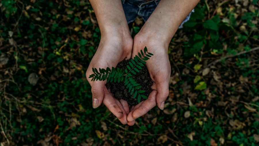 Ekonomi Hijau (Dok Unsplash)