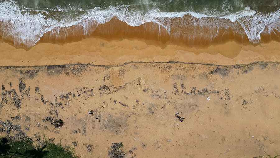 Petugas mengumpulkan plastik yang terdampar di pantai dari kapal kontainer yang tenggelam di Uswetakeiyawa, Sri Lanka (Jonathan Wijayaratne/Bloomberg)