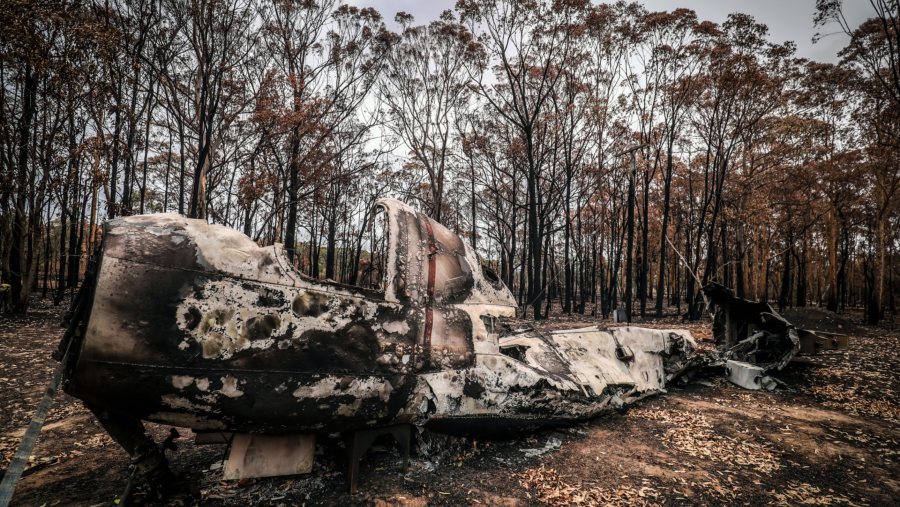 Kebakaran Hutan di Australia (David Gray/Bloomberg)