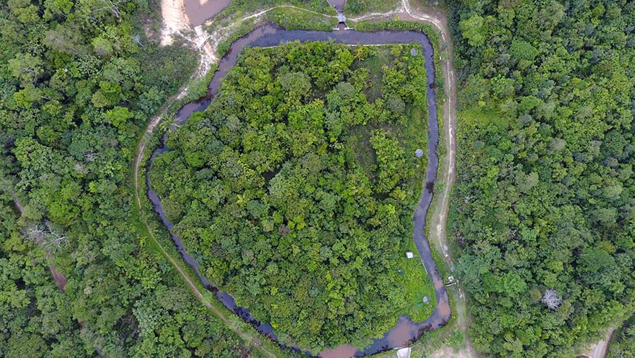 Foto udara hutan hujan tropis di Kalimantan, Indonesia. (Dimas Ardian/Bloomberg)