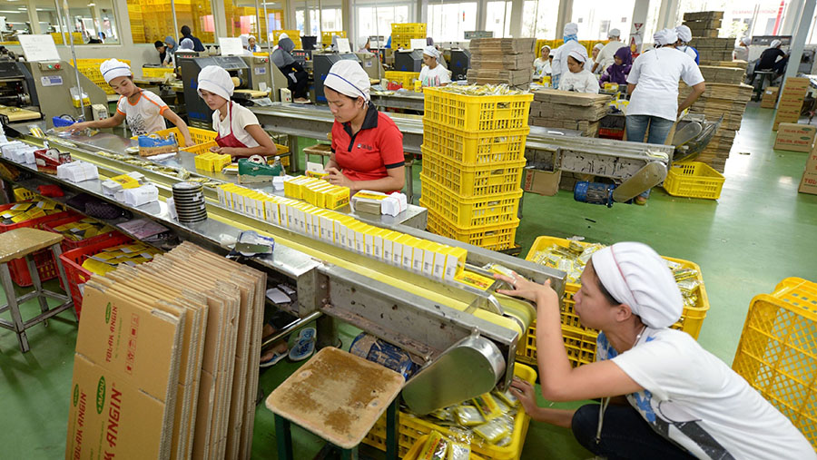 Pekerja mengemas Tolak Angin sachet di pabrik PT Industri Jamu Dan Farmasi Sido Muncul di Semarang, Jawa Tengah. (Dimas Ardian/Bloomberg)