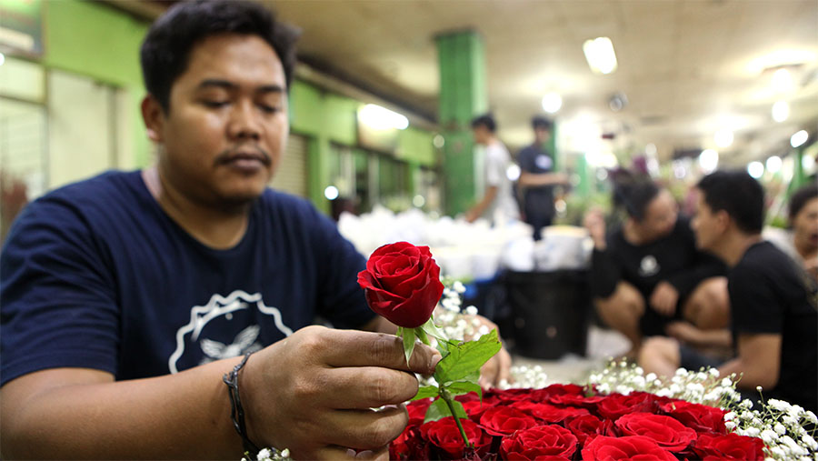 Banyaknya permintaan akan mawar merah menjadi alasan adanya kenaikan harga di hari kasayang ini. (Bloomberg Technoz/Andrean Kristianto)