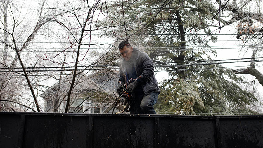 Pekerja memotong pohon tumbang setelah badai es di Royal Oak, Michigan, AS, Kamis (23/2/23023). (Emily Elconin/Bloomberg)