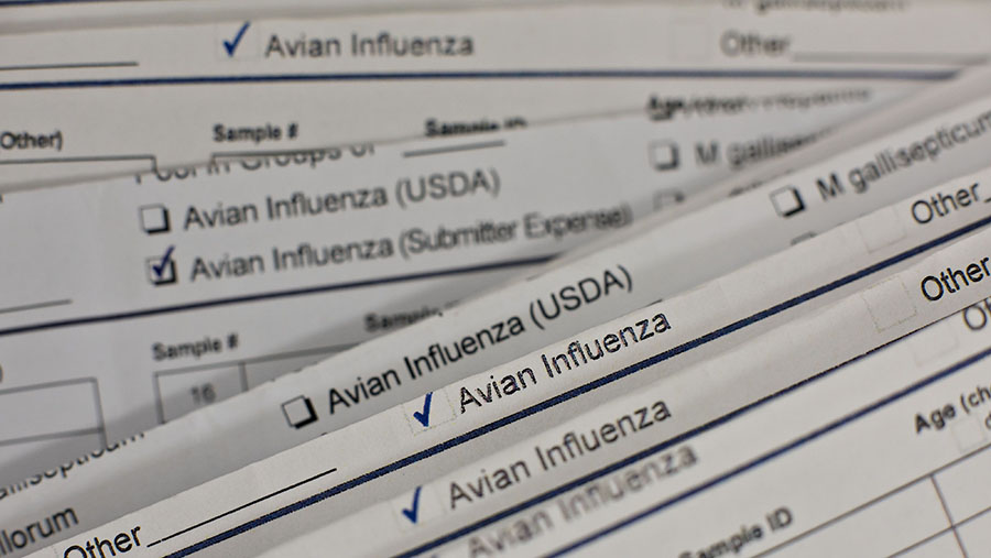 Formulir permintaan tes flu burung diletakkan di atas meja di laboratorium diagnostik analitik real-time di Ames, Iowa, AS. (Daniel Acker/Bloomberg)