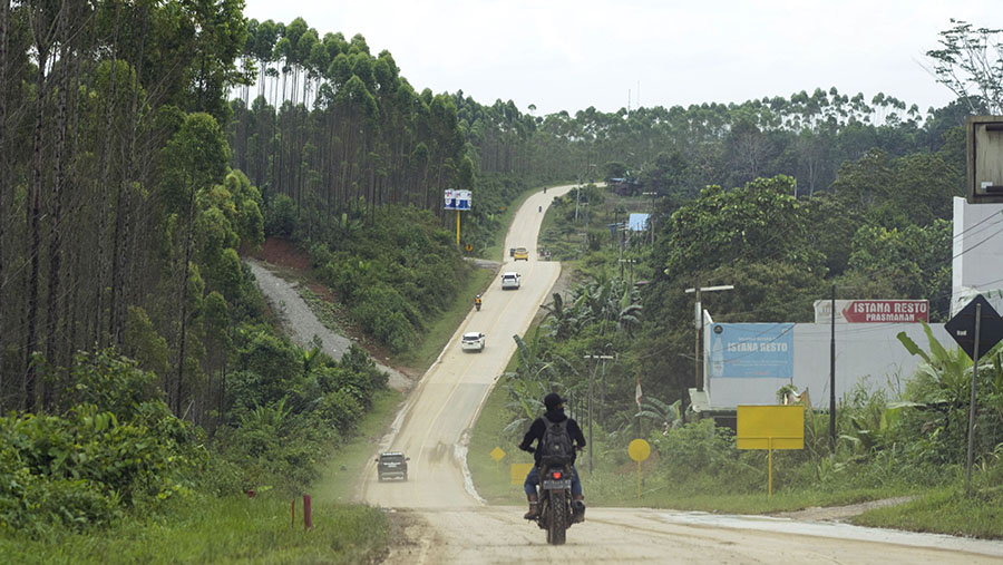 Sebuah jalan membentang di dekat Ibu Kota Nusantara (IKN) di Penajam Paser Utara, Kalimantan Timur, Rabu (8/3/2023). (Rony Zakaria/Bloomberg)