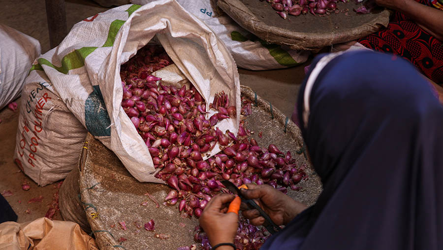 Buruh mengupas bawang merah di Pasar Induk Kramat Jati, Jakarta, Kamis (16/3/2023). (Bloomberg Technoz/ Andrean Kristianto)