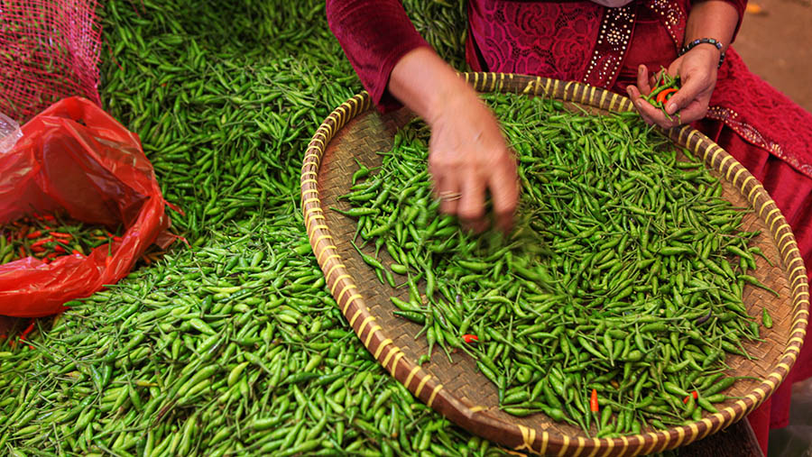 Pedagang memilih cabai rawit hijau di Pasar Induk Kramat Jati, Jakarta, Kamis (16/3/2023). (Bloomberg Technoz/ Andrean Kristianto)