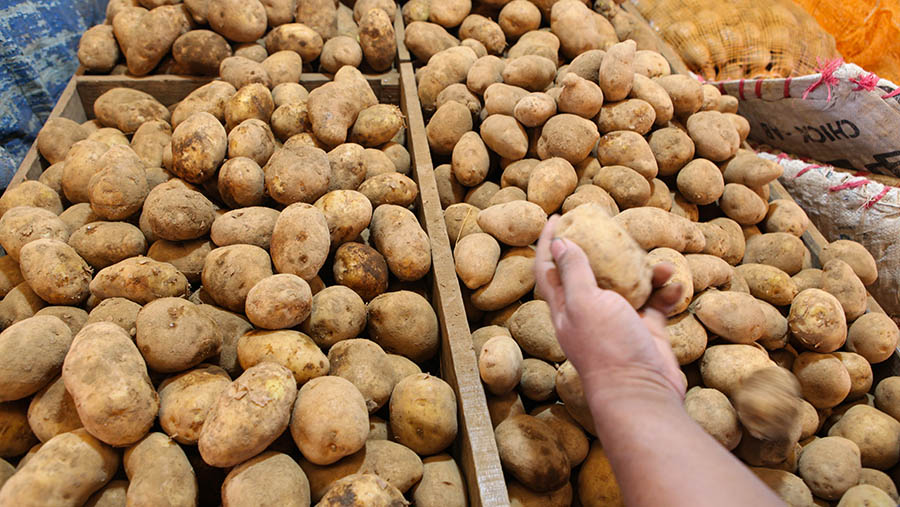 Untuk harga kentang mengalami penurunan harga Rp 1.000.  (Bloomberg Technoz/ Andrean Kristianto)