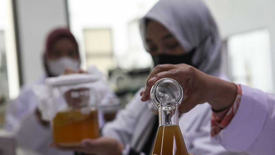 Peneliti melakukan proses ekstraksi daun kelor di KST BJ Habibie, Tangerang Selatan, Jumat (17/3/2023). (Bloomberg Technoz/ Andrean Kristianto)
