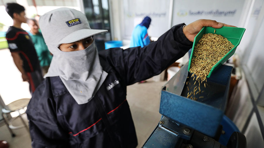 Ilustrasi penggilingan padi. (Dario Pignatelli/Bloomberg)