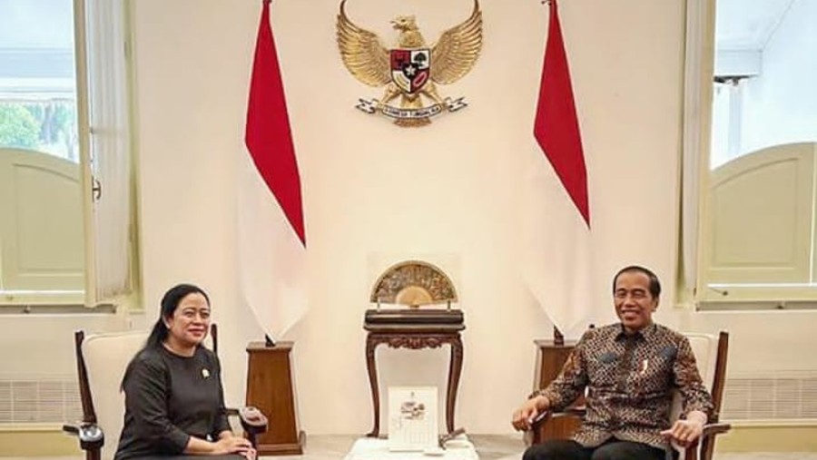 Ketua DPR Puan Maharani bertemu Presiden Jokowi di Istana Merdeka (Instagram @puanmaharaniri)