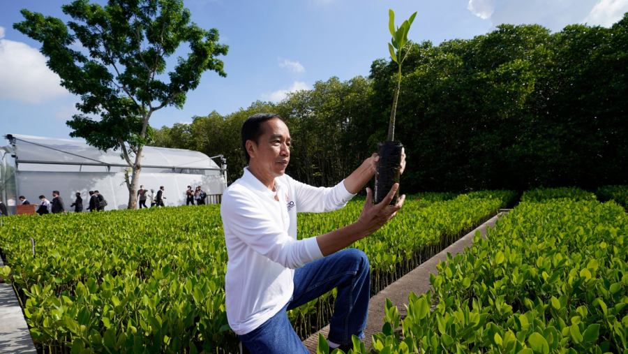 Presiden Joko Widodo (Jokowi). (Dok Bloomberg)