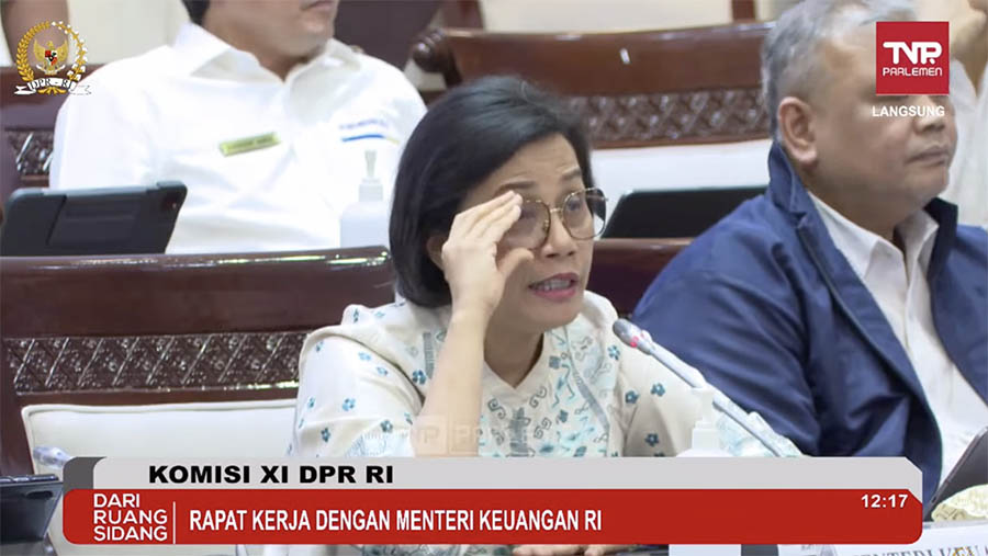 Rapat Kerja Komisi XI dengan Menteri Keuangan, Sri Mulyani. (Tangkapan Layar via Youtube Komisi XI DPR RI Channel)