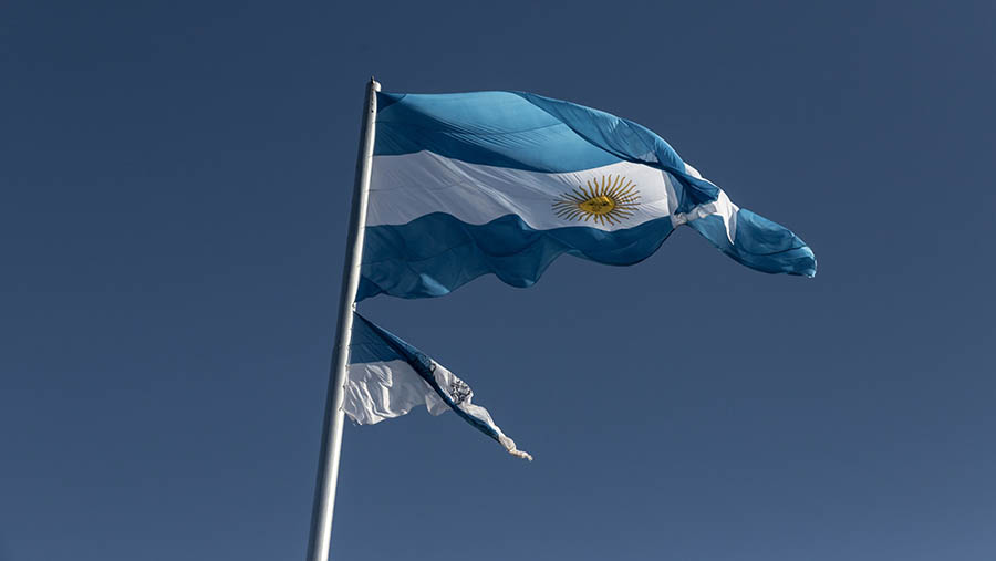 Ilustrasi bendera Argentina. (Anita Pouchard Serra/Bloomberg)