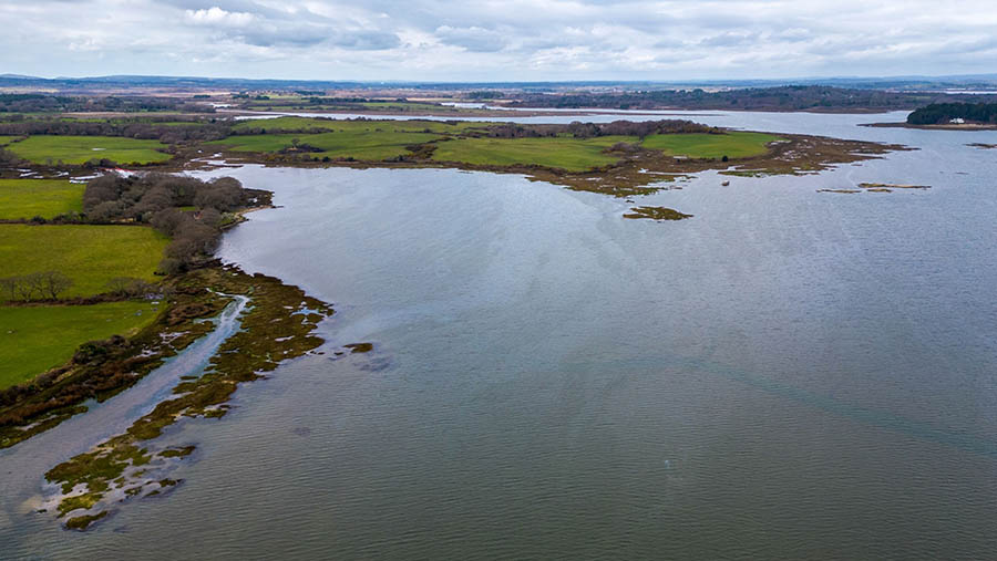 Ladang ini terletak kurang dari tiga mil dari daerah pesisir yang dilindungi habitat penting bagi spesies burung. (Chris J. Ratcliffe/Bloomberg)