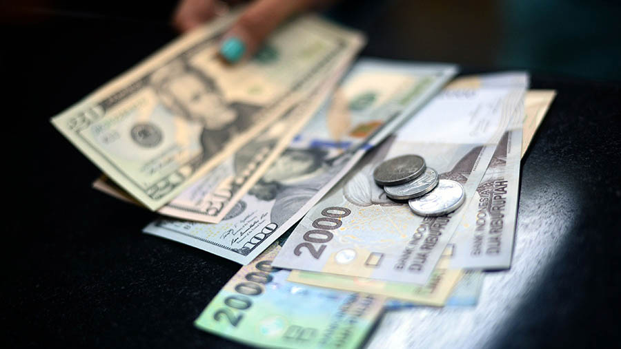 Ilustrasi dolar AS dan rupiah. (Dimas Ardian/Bloomberg)