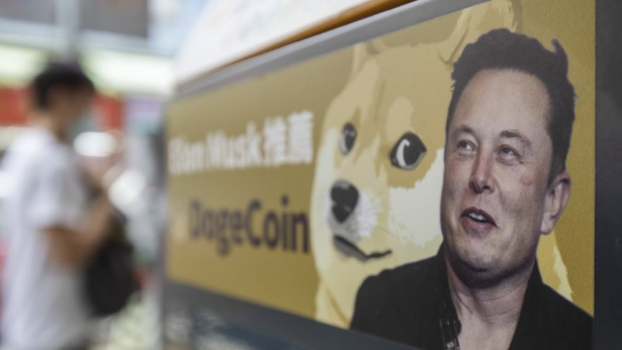 Elon Musk dan meme anjing Dogecoin (Sumber: Bloomberg)