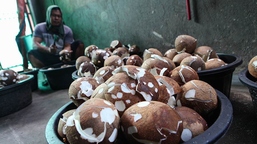 Pekerja memotong kelapa di salah satu pabrik dodol Betawi, kawasan Pejaten Timur, Pasar, Rabu (5/4/2023). (Bloomberg Technoz/ Andrean Kristianto)