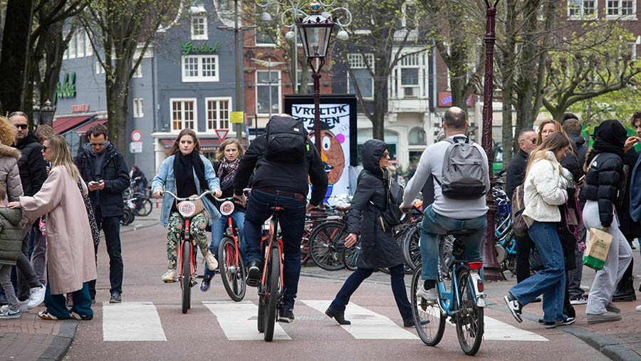 Sepeda menjadi moda transportasi yang sering dipake warga sehari-hari di Amesterdam, namun kota ini bukanlah surga bebas mobil. (Peter Boer/Bloomberg)