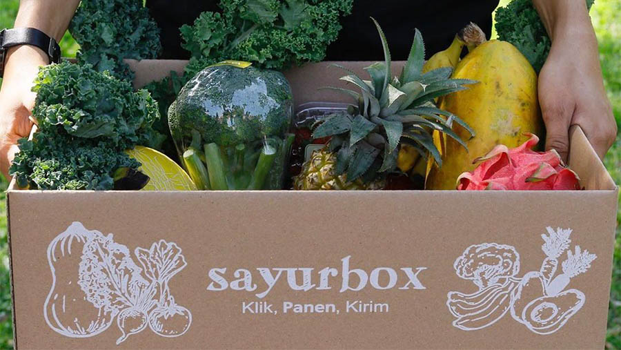 Dok. Sayur Box