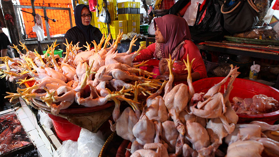 Pedagang memotong daging ayam yang dijual di Pasar Minggu, Jakarta, Selasa (18/4/2023). (Bloomberg Technoz/ Andrean Kristianto)