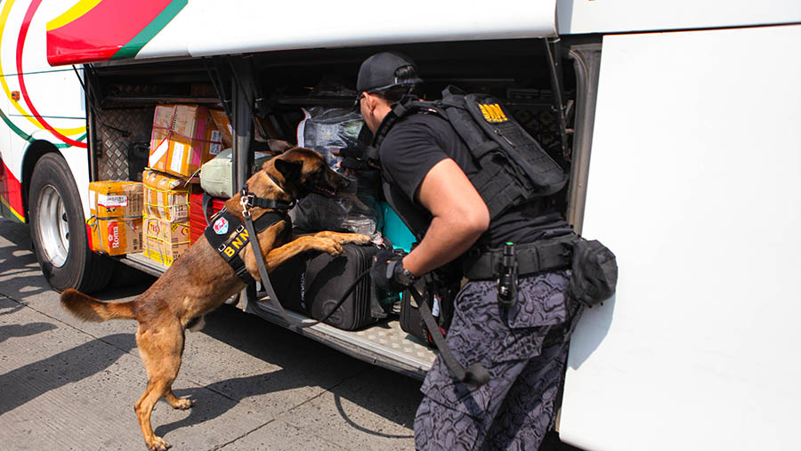 Untuk mencegah hal yang tidak diingin, BNN membawa anjing pelacak untuk memeriksan barang bawaan pemudik (Bloomberg Technoz/ Andrean Kristianto)