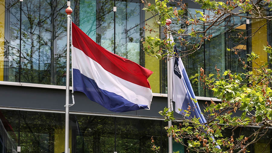 Ilustrasi bendera Belanda. (Valeria Mongelli/Bloomberg)