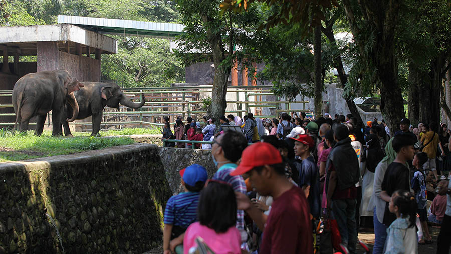 Pengunjung berwisata di Taman Margasatwa Ragunan, Jakarta, Minggu (23/4/2023). (Bloomberg Technoz/ Andrean Kristianto)
