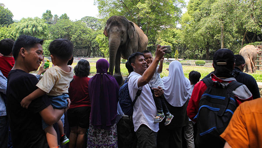 Pengunjung berwisata di Taman Margasatwa Ragunan, Jakarta, Minggu (23/4/2023). (Bloomberg Technoz/ Andrean Kristianto)