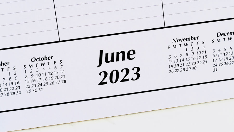 Ilustrasi Kalender Juni 2023 (Dok. Envato)