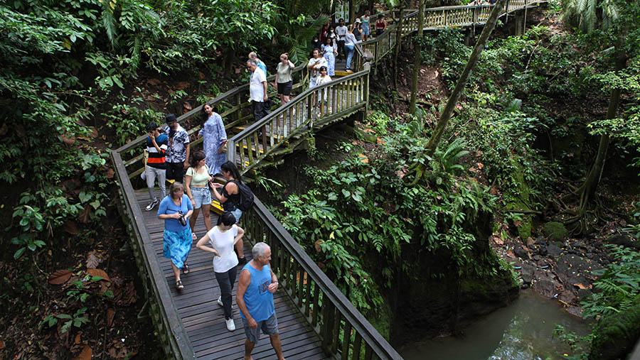 Turis asing mengunjungi wisata Monkey Forest di Ubud, Bali, Selasa (2/4/2023). (Bloomberg Technoz/ Andrean Kristianto)