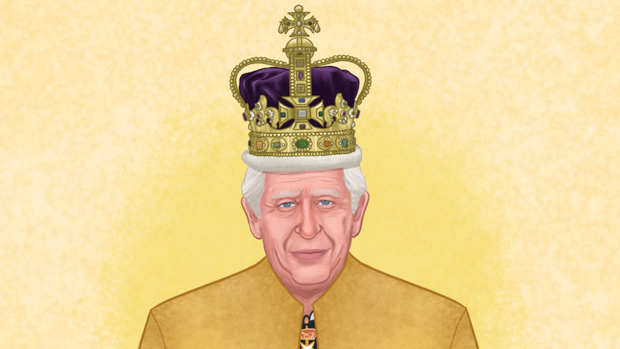 Ilustrasi King Charles III (Bloomberg Technoz)
