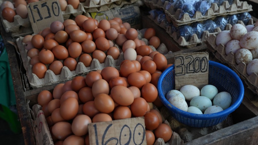 Telur ayam di pasar. (Dimas Ardian/Bloomberg)