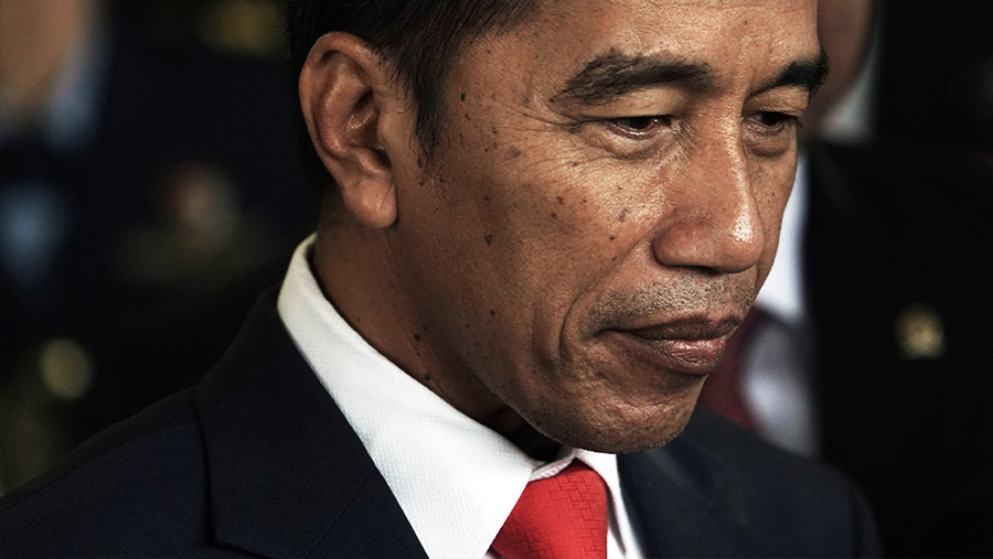Presiden Joko Widodo. Foto: Dimas Ardian/Bloomberg
