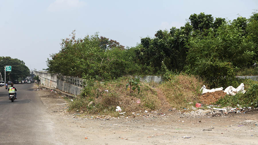 Tanaman liar tumbuh di akses menuju Jalan Layang Non-Tol (JLNT) tersebut. (Bloomberg Technoz/ Andrean Kristianto)