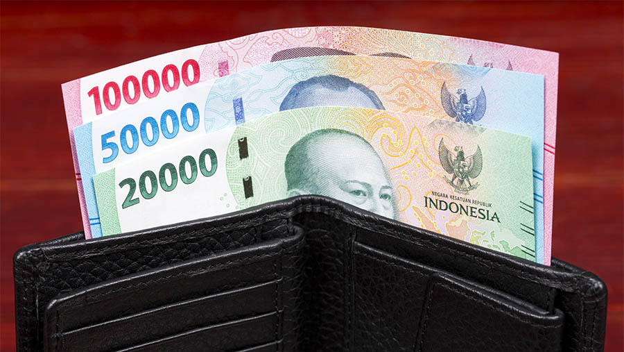 Ilustrasi uang rupiah. UMP 2024 di Provinsu Sumatera Utara naik menjadi Rp2,8 juta. (Photo By johan10 via Envato)