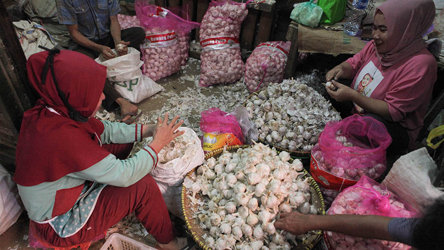Pekerja mengupas bawang putih di Pasar Induk Kramat Jati, Jakarta, Senin (29/5/2023). (Bloomberg Technoz/ Andrean Kristianto)