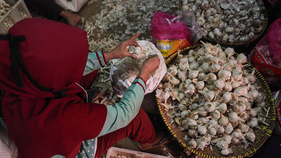 Pekerja mengupas bawang putih di Pasar Induk Kramat Jati, Jakarta, Senin (29/5/2023). (Bloomberg Technoz/ Andrean Kristianto)