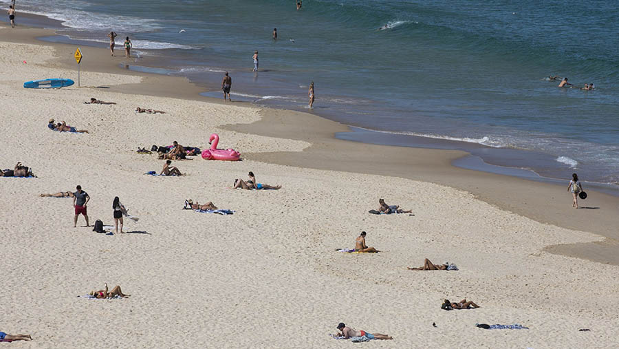 Ilustrasi pasir laut. (Brent Lewin/Bloomberg)