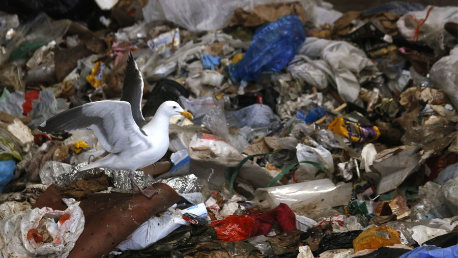 Ilustrasi sampah plastik. (Sumber: Bloomberg)
