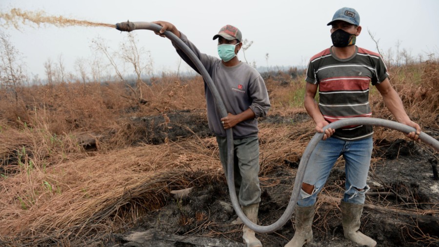 Ilustrasi kebakaran hutan di Sumatra (Dimas Ardian/Bloomberg)