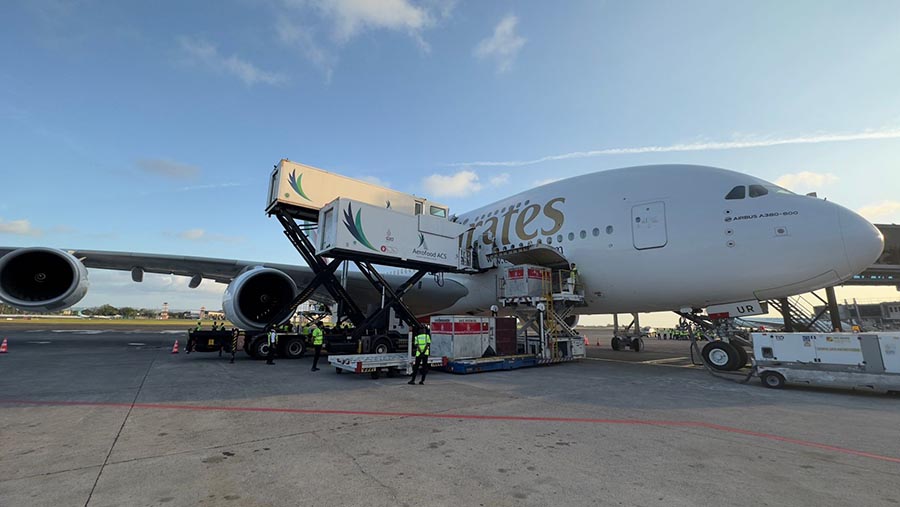 Pesawat penumpang terbesar di dunia A380 milik maskapai Emirates di Bandara Internasional I Gusti Ngurah Rai Bali, Kamis (1/5/2023). (Dok. Kemenhub)