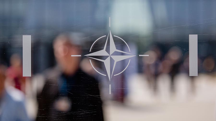 Ilustrasi NATO. (Marlene Awaad/Bloomberg)