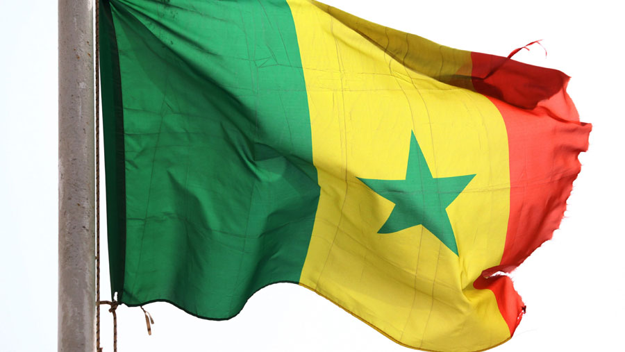 Bendera Senegal (Sumber: Bloomberg)