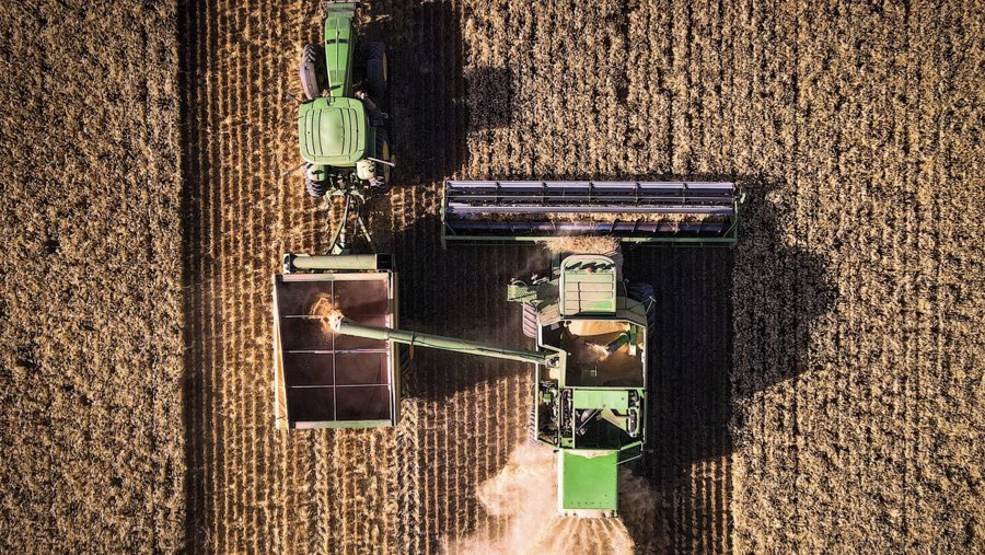 Ladang gandum (Sumber: Bloomberg)