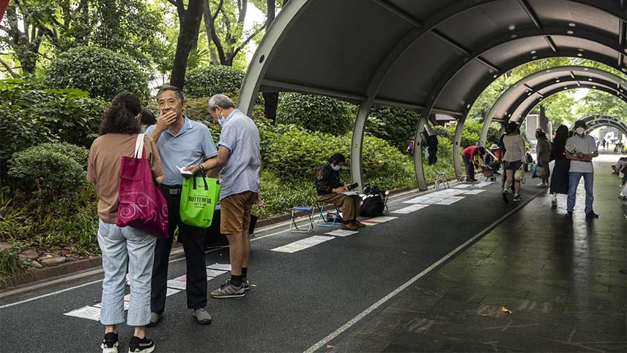 Pengunjung melihat info pencari calon pasangan di pasar jodoh di People's Park, Shanghai, China, Minggu (25/6/2023). (Qilai Shen/Bloomberg)