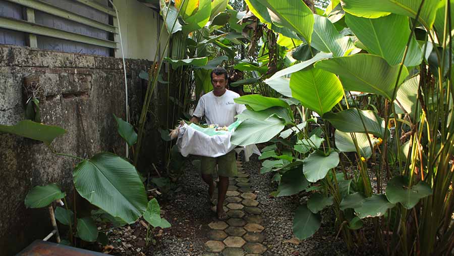 Usai disemayamkan anabul lalu dibawa untuk melakukan proses kremasi. (Bloomberg Technoz/ Andrean Kristianto)