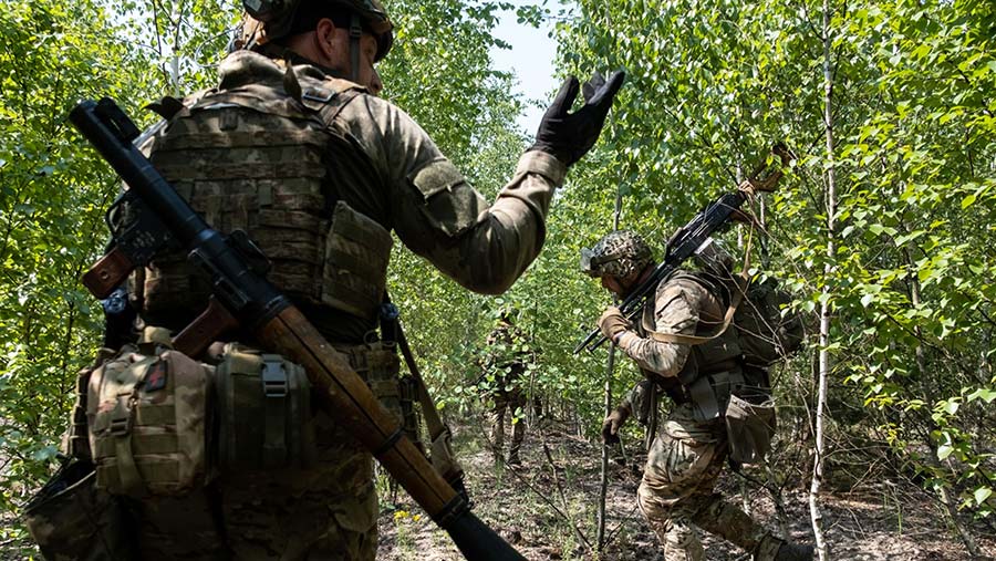 Dalam latihan terakhir mereka, beberapa orang melepaskan serangan dari perlindungan hutan dengan berdiri. (Seth Herald/Bloomberg)
