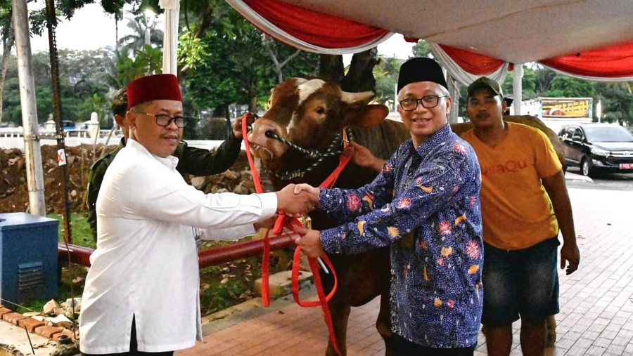 Wapres Maruf Amin memberikan hewan kurban sapi jenis Limousin berbobot 1,1 ton ke Masjid Istiqlal Jakarta (Dok. Setwapres)
