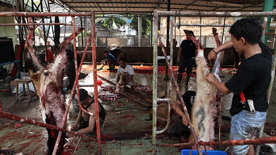 Petugas memotong hewan kurban di Masjid Cut Meutia, Jakarta, Kamis (29/6/2023). (Bloomberg Technoz/ Andrean Kristianto)